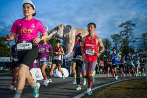 BIB: 
                            <button type="button" onclick="openModal(26541515)" class="btn btn-primary btn-sm float-right btn-popup" data-toggle="modal" data-target=".modal-high-quality">
                        <i class="fas fa-shopping-cart"></i> Add to Cart
                    </button>
                                            <button type="button" onclick="isThisMe(26541515, true)" class="btn btn-success btn-sm float-right btn-popup btn-isme hidden" data-toggle="tooltip" data-placement="bottom" title="นี่คือรูปของคุณใช่ไหม คลิกที่นี่เพื่อเอาเข้าอัลบั้ม">
                        <i class="fas fa-plus"></i> Add to album
                    </button>
                    <button type="button" onclick="isThisMe(26541515, false)" class="btn btn-warning btn-sm float-right btn-popup btn-isnotme hidden">
                        <i class="fas fa-ban"></i> Remove from album
                    </button>